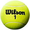 Balle de tennis Wilson  Roland Garros 5" Mini Jumbo Yellow