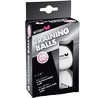 Balles Butterfly  Training (6 Pack)