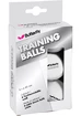 Balles Butterfly  Training (6 Pack)