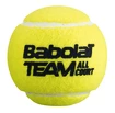 Balles de tennis Babolat Team All Court