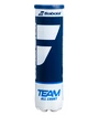 Balles de tennis Babolat  Team All Court