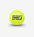 Balles de tennis Dunlop Fort All Court TS