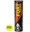 Balles de tennis Dunlop  Fort Clay Court