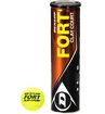 Balles de tennis Dunlop  Fort Clay Court