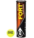 Balles de tennis Dunlop  Fort Clay Court