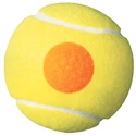 Balles de tennis pour enfant Wilson  Starter Orange (48 pcs) - 8-10 years