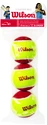 Balles de tennis pour enfant Wilson  Starter Red (3 Pack)