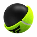 Balles de tennis Tecnifibre  X-One (4 pcs)