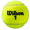 Balles de tennis Wilson  Roland Garros All Court (4 Pack)