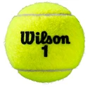 Balles de tennis Wilson  Roland Garros All Court (4 Pack)