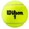 Balles de tennis Wilson Roland Garros Clay (4 pcs)