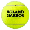 Balles de tennis Wilson Roland Garros Official (3 pcs)