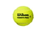 Balles de tennis Wilson Triniti Pro (4 pcs)