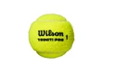 Balles de tennis Wilson Triniti Pro (4 pcs)