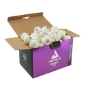Balles Joola  Magic ABS 40+ White (72 Pack)