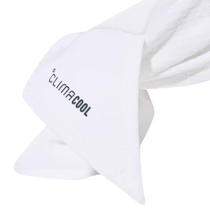 Bandeau adidas  Tennis Tieband White/Green