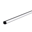 Barres porteuses Thule ProBar Evo 391