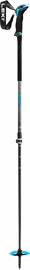 Bâtons de ski Leki Guide Lite 2 Silver gray - Petrol - Black 110 - 150