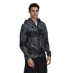 Blouson pour homme adidas  Terrex Agravic Graphic 2.5 Layer Rain Jacket Grey Six
