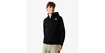 Blouson pour homme The North Face  West Basin DryVent Jacket Black