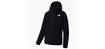 Blouson pour homme The North Face  West Basin DryVent Jacket Black
