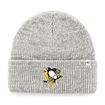 Bonnet d'hiver 47 Brand Brain Freeze
