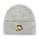 Bonnet d'hiver 47 Brand Brain Freeze