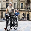 Bouclier Urban Iki  Widescreen Asahi Gold