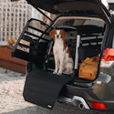 Caisse de transport pour chien Thule Allax M Compact