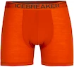 Caleçons pour homme Icebreaker  Anatomica Boxers