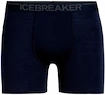 Caleçons pour homme Icebreaker  Anatomica Boxers