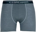 Caleçons pour homme Icebreaker  Anatomica Boxers