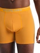 Caleçons pour homme Icebreaker  Anatomica Boxers Electric/Praline