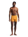 Caleçons pour homme Icebreaker  Anatomica Boxers Electric/Praline