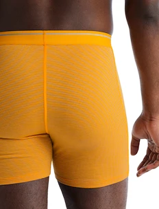 Caleçons pour homme Icebreaker  Anatomica Boxers Electric/Praline