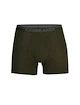 Caleçons pour homme Icebreaker  Anatomica Boxers LODEN