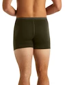 Caleçons pour homme Icebreaker  Anatomica Boxers LODEN