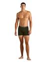 Caleçons pour homme Icebreaker  Anatomica Boxers LODEN