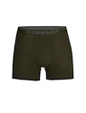 Caleçons pour homme Icebreaker  Anatomica Boxers LODEN