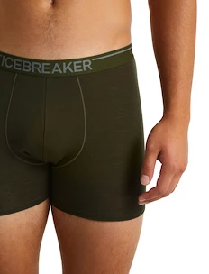 Caleçons pour homme Icebreaker  Anatomica Boxers LODEN