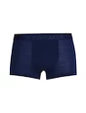 Caleçons pour homme Icebreaker  M Anatomica Cool-Lite Trunks ROYAL NAVY