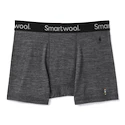 Caleçons pour homme Smartwool  Merino Sport 150 Boxer Brief Medium Gray Heather