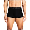 Caleçons pour homme Under Armour Perf Tech 3in Black