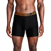 Caleçons pour homme Under Armour Perf Tech 6in 3Pack Black