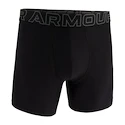 Caleçons pour homme Under Armour Perf Tech 6in Black  S
