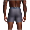 Caleçons pour homme Under Armour Perf Tech 6in Grey