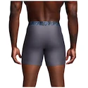 Caleçons pour homme Under Armour Perf Tech 6in Grey