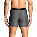 Caleçons pour homme Under Armour Perf Tech 6in Grey