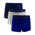 Caleçons pour homme Under Armour Perf Tech Solid 3in 3Pack Royal