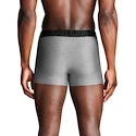 Caleçons pour homme Under Armour Perf Tech Solid 3in 3Pack Steel Heather